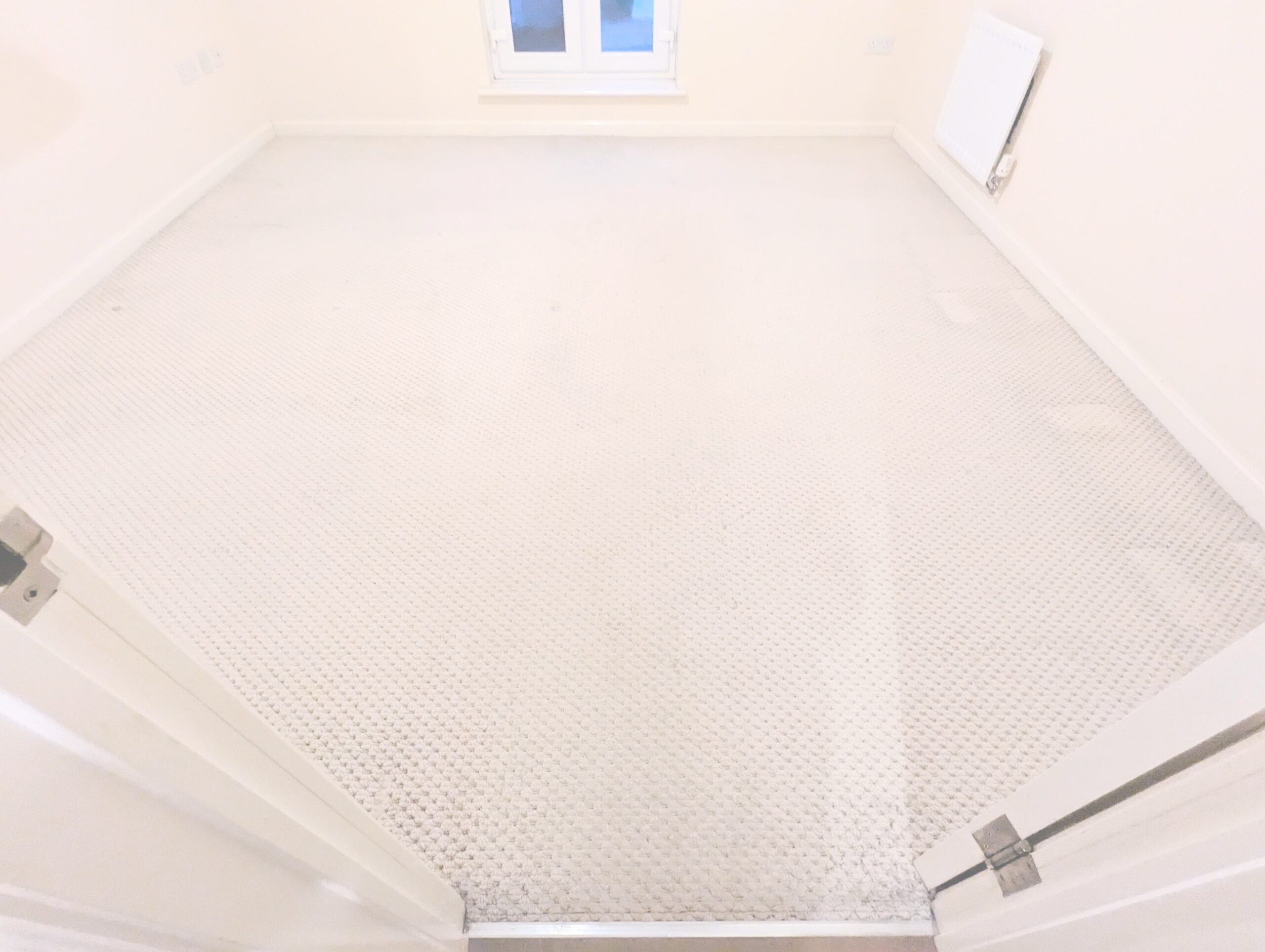 Carpet cleaning after